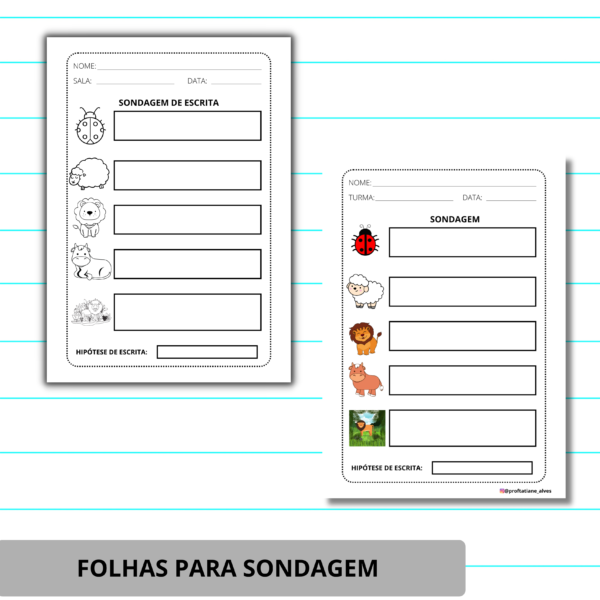 FOLHAS PARA SONDAGEM DIAGNÓSTICA - Image 3