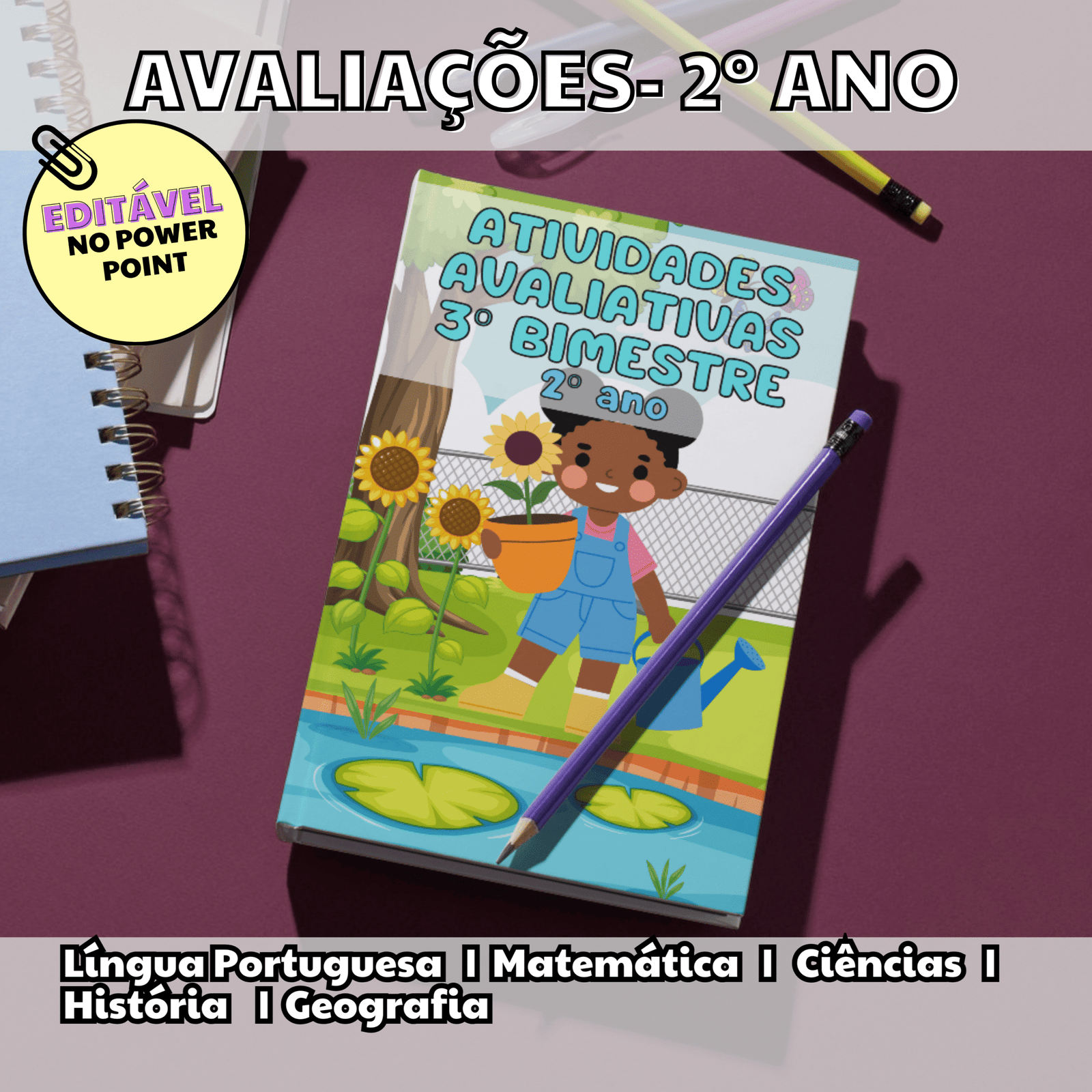 2º ANO- 3º BIMESTRE- ATIVIDADES AVALIATIVAS
